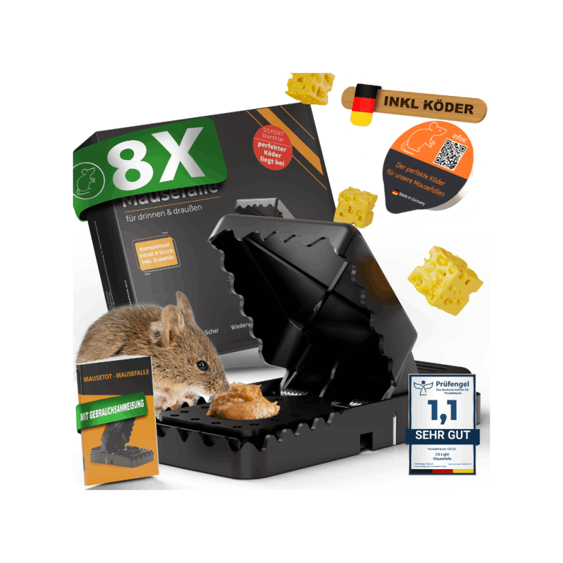 zum Shop